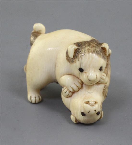 A Japanese ivory netsuke of two puppies, 19th century, l. 3.6cm